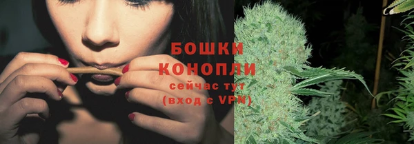 мет Бородино