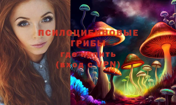 хмурый Богданович