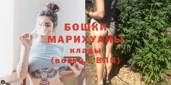 мет Бородино