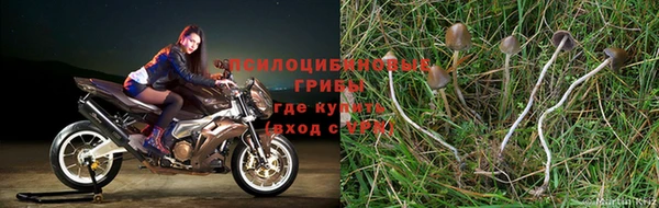 MESCALINE Богородицк